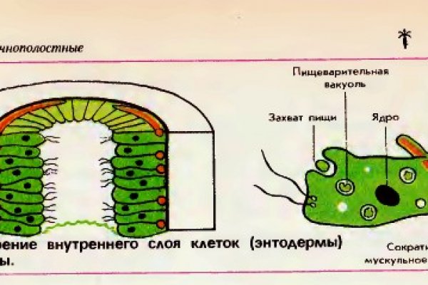 Не могу зайти на кракен